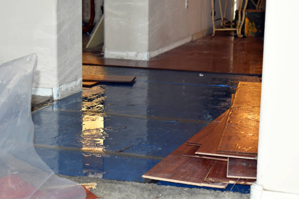 Professional Water Extraction technician working in Livingston, IL